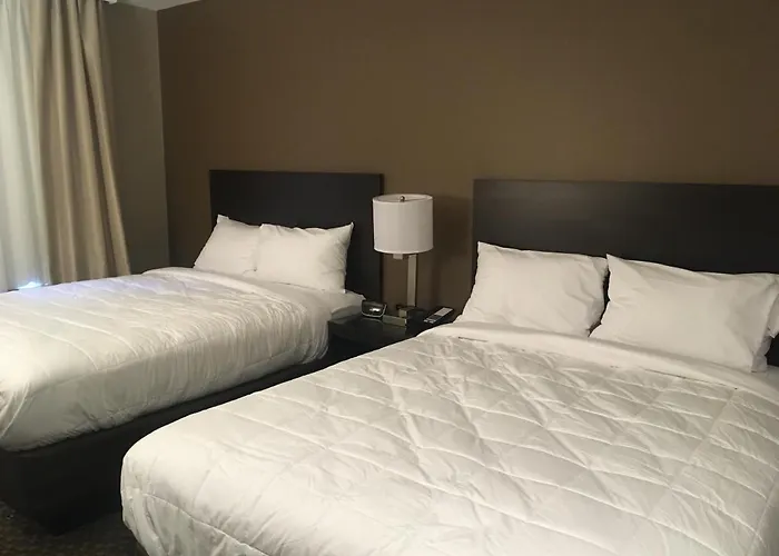 The Williams Hotel